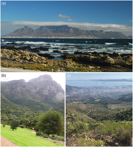 Details are in the caption following the image Details are in the caption following the image