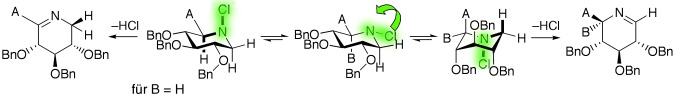 Nitrogen Inversion as a Diastereomeric Relay in Azasugar Synthesis: The First Synthesis of Adenophorine