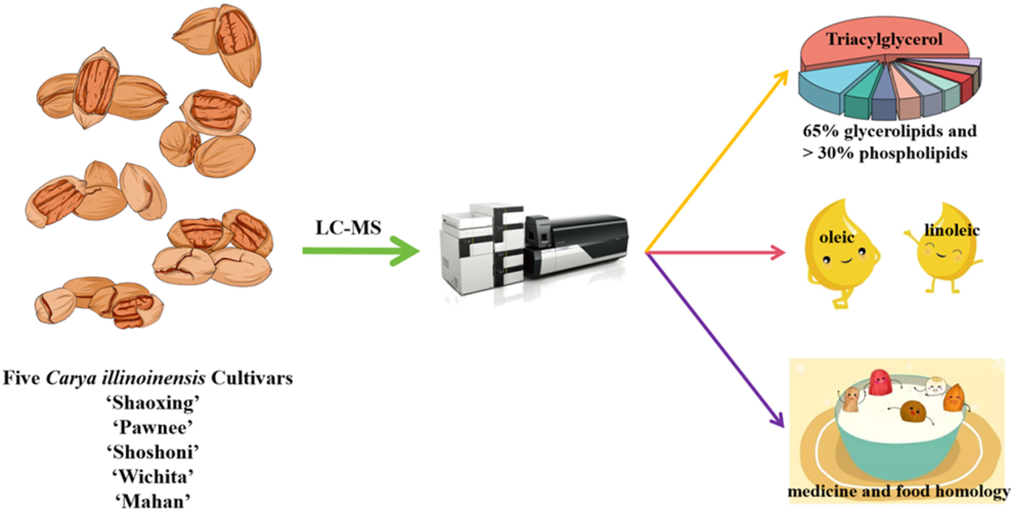 Lipidomic analyses of five Carya illinoinensis cultivars