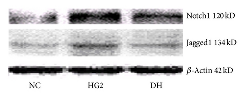 Details are in the caption following the image