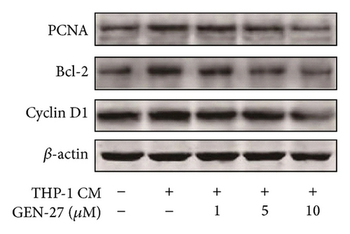 Details are in the caption following the image
