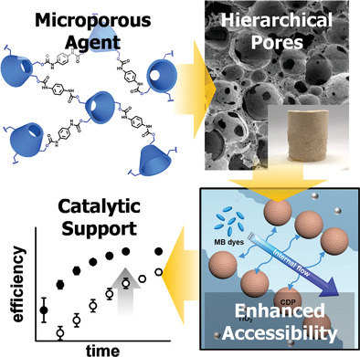 Designing Internal Hierarchical Porous Networks in Polymer Monoliths that Exhibit Rapid Removal and Photocatalytic Degradation of Aromatic Pollutants