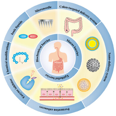 Oral Delivery Strategies for Biological Drugs