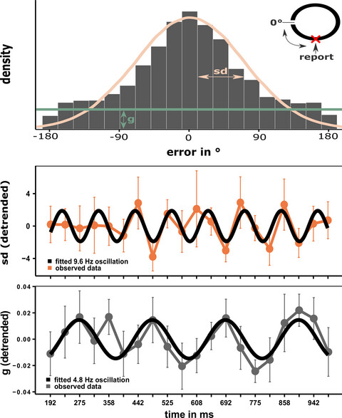 Distinct contributions of alpha and theta rhythms to perceptual and attentional sampling