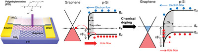 A Facile Method for Improving Detectivity of Graphene/p-Type Silicon Heterojunction Photodetector