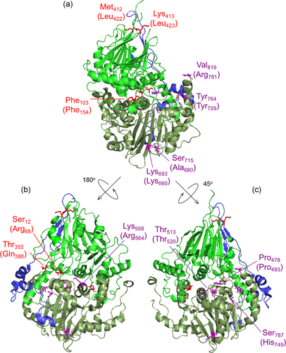 Details are in the caption following the image Details are in the caption following the image