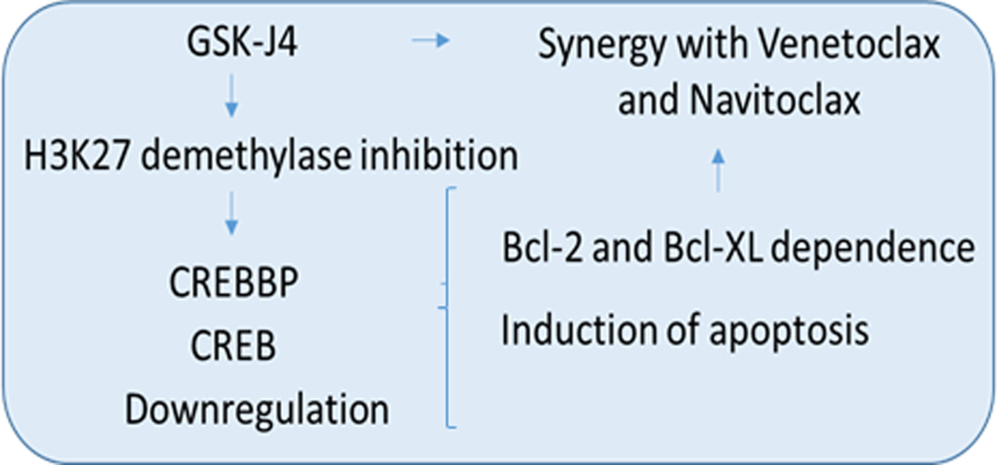 Inhibiting H3K27 Demethylases Downregulates CREB-CREBBP, Overcoming Resistance in Relapsed Acute Lymphoblastic Leukemia