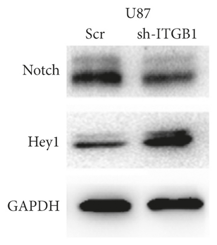 Details are in the caption following the image