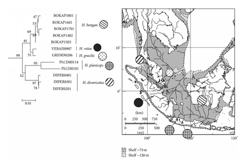 Details are in the caption following the image