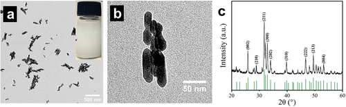Details are in the caption following the image Details are in the caption following the image