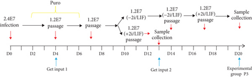 Details are in the caption following the image