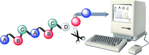 Reading Polymers: Sequencing of Natural and Synthetic Macromolecules