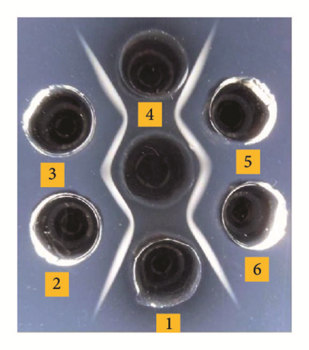 Details are in the caption following the image