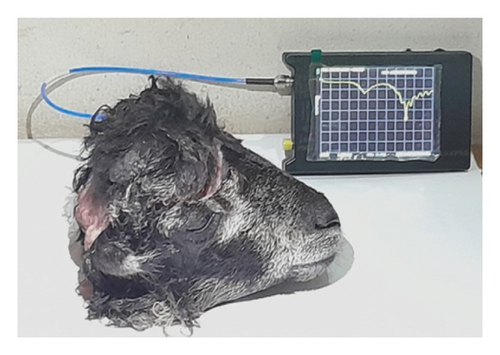 Details are in the caption following the image Details are in the caption following the image
