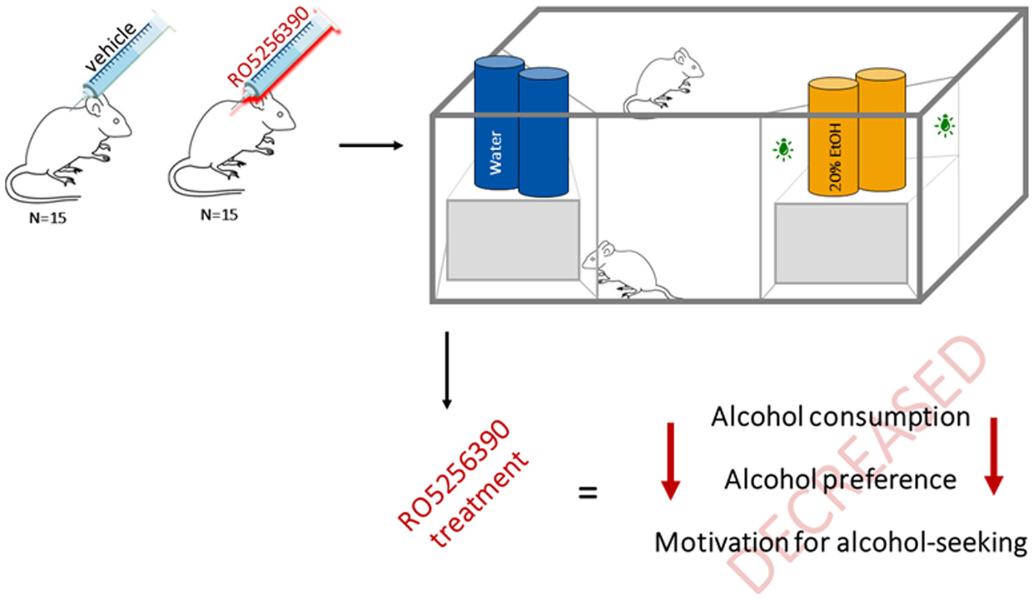 Activation of trace amine-associated receptor 1 (TAAR1) transiently reduces alcohol drinking in socially housed mice