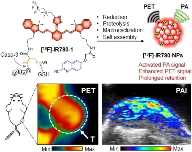 Tailoring a Near-Infrared Macrocyclization Scaffold Allows the Control of In Situ Self-Assembly for Photoacoustic/PET Bimodal Imaging