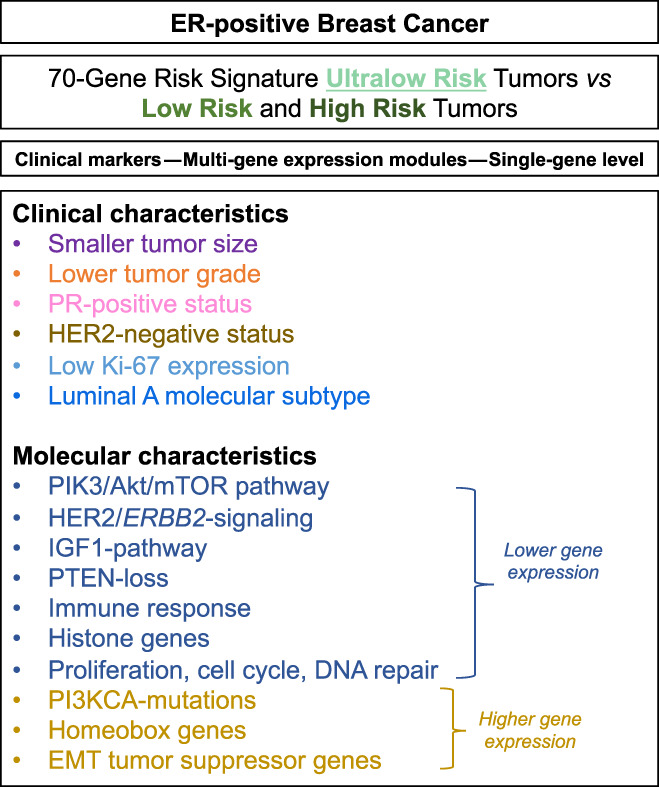 Clinical and molecular characteristics of estrogen receptor-positive ultralow risk breast cancer tumors identified by the 70-gene signature