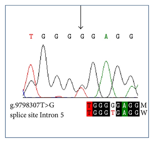 Details are in the caption following the image
