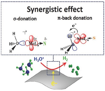 Hydrophilic Nitrogen and Sulfur Co-doped Molybdenum Carbide Nanosheets for Electrochemical Hydrogen Evolution