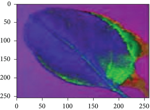 Details are in the caption following the image Details are in the caption following the image