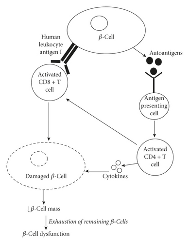 Details are in the caption following the image