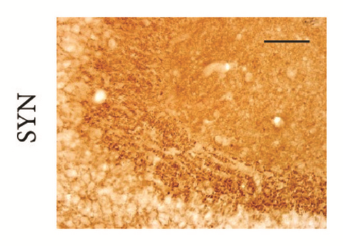 Details are in the caption following the image