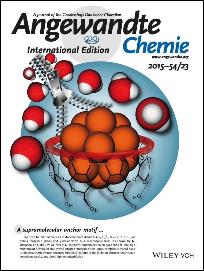 Back Cover: Water Structure Recovery in Chaotropic Anion Recognition: High-Affinity Binding of Dodecaborate Clusters to γ-Cyclodextrin (Angew. Chem. Int. Ed. 23/2015)