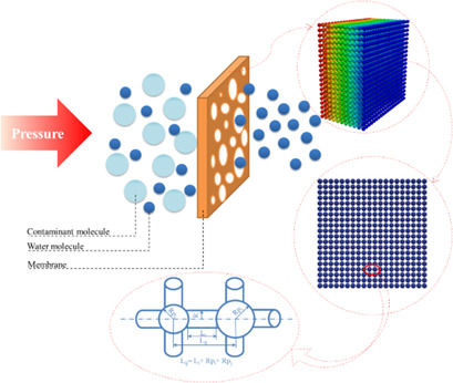 Water Flux Reduction in Microfiltration Membranes: A Pore Network Study