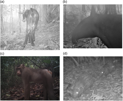 Details are in the caption following the image Details are in the caption following the image