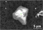 aesr202100074-gra-0003