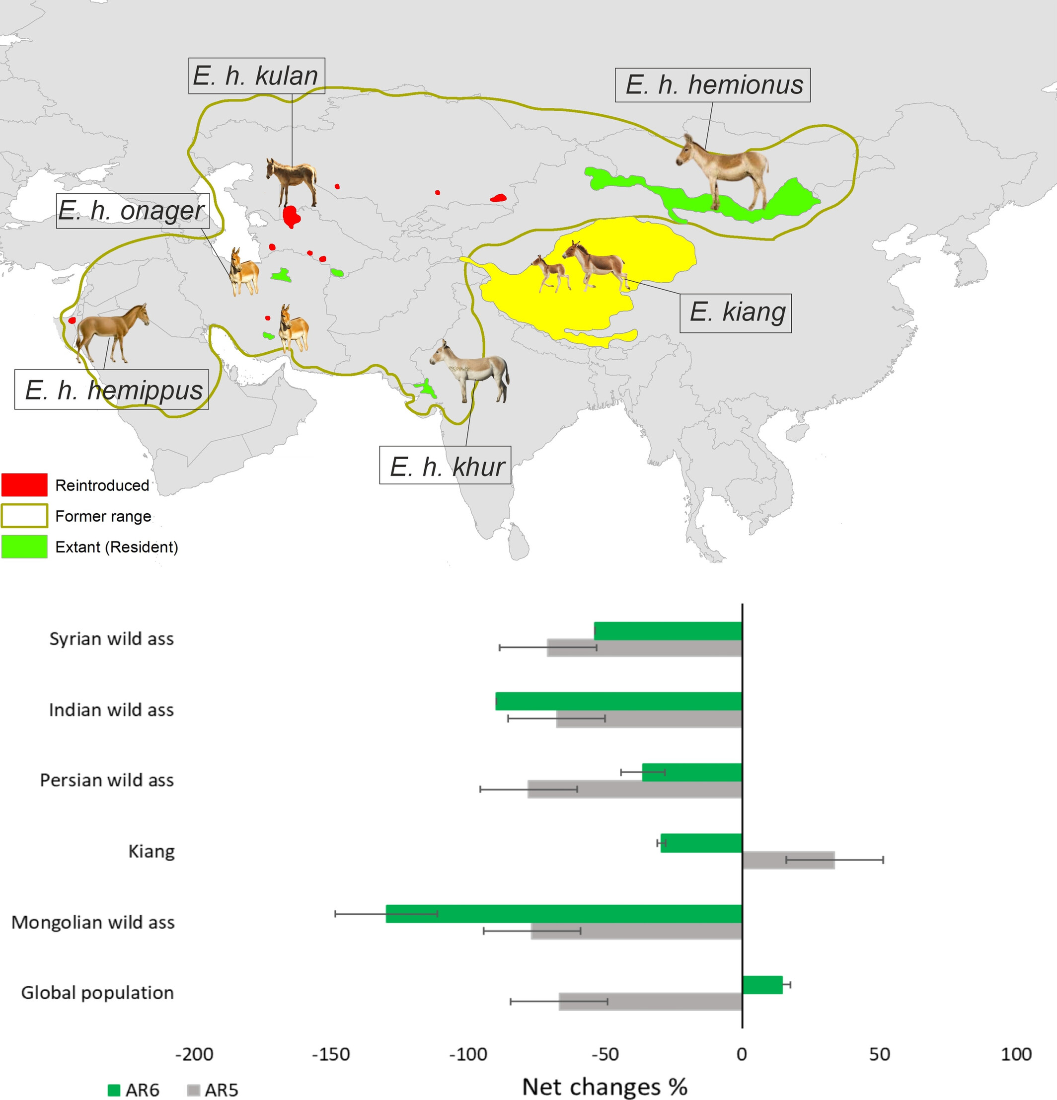 Impacts of Climate-Land Dynamics on Global Population and Sub-Populations of a Desert Equid