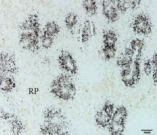 Details are in the caption following the image