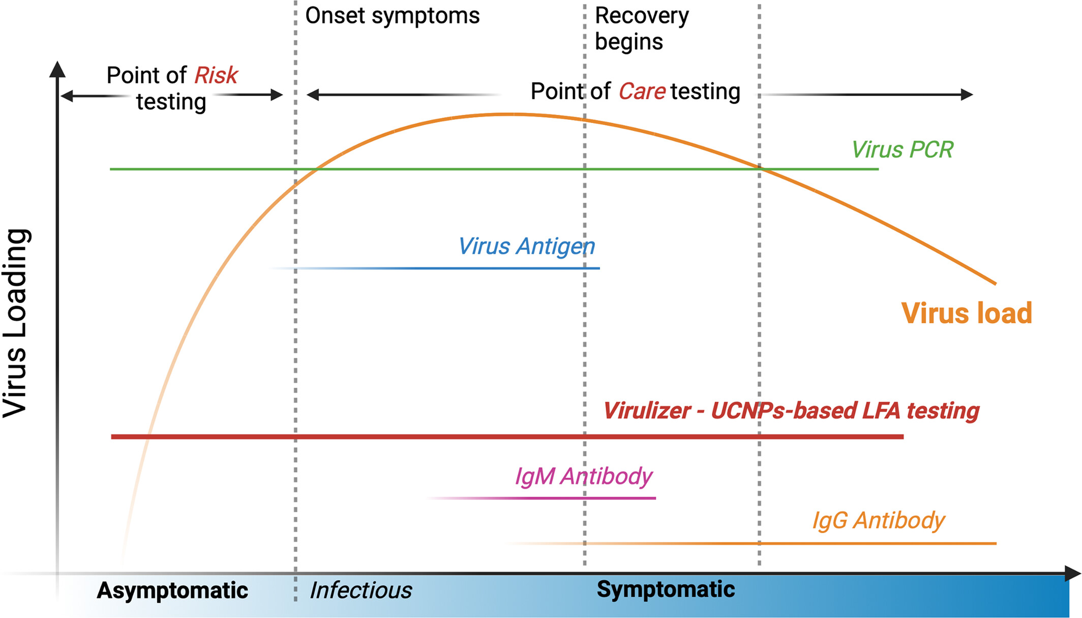 A COVID-19 rapid antigen test employing upconversion nanoparticles