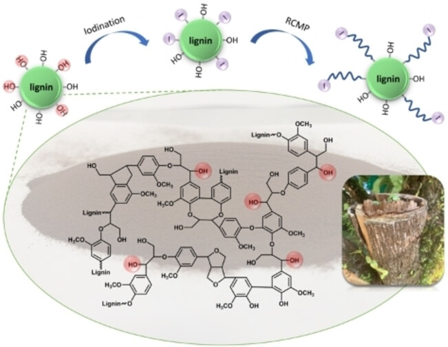 One-Pot Reversible Complexation-Mediated Polymerization (RCMP) from Benzylic Alcohols for Facile Access to Polymer-Grafted Lignin