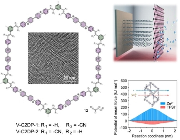On-Water Surface Synthesis of Vinylene-Linked Cationic Two-Dimensional Polymer Films as the Anion-Selective Electrode Coating