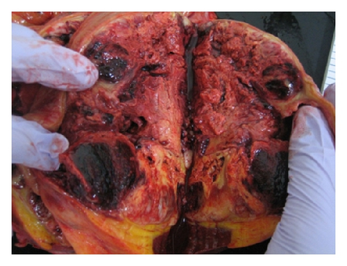 Details are in the caption following the image Details are in the caption following the image