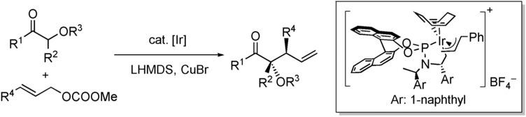 Iridium-Catalyzed Diastereoselective and Enantioselective Allylic Substitutions with Acyclic α-Alkoxy Ketones