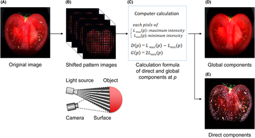 Details are in the caption following the image Details are in the caption following the image