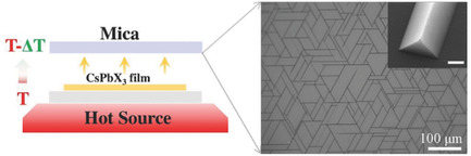 Temperature Difference Triggering Controlled Growth of All-Inorganic Perovskite Nanowire Arrays in Air