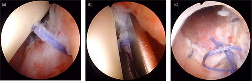 Details are in the caption following the image Details are in the caption following the image