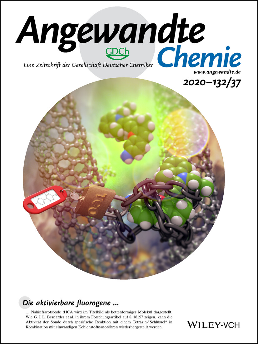 Rücktitelbild: Tetrazine Carbon Nanotubes for Pretargeted In Vivo “Click-to-Release” Bioorthogonal Tumour Imaging (Angew. Chem. 37/2020) Volume 132 Issue 37, 2020
