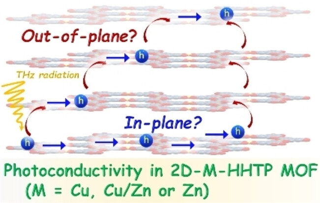 Dominant Role of Hole Transport Pathway in Achieving Record High Photoconductivity in Two-Dimensional Metal–Organic Frameworks