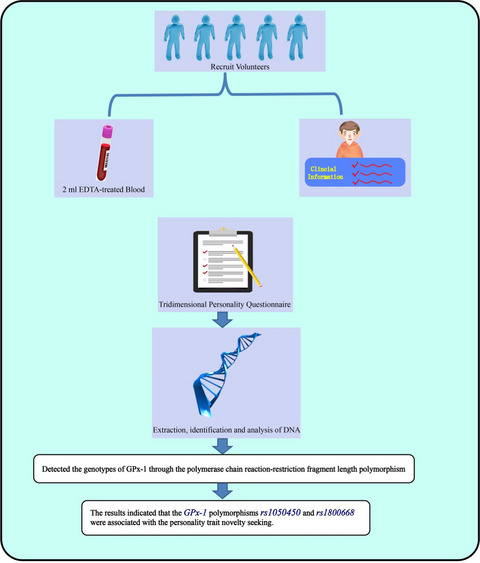 Association between GPx-1 polymorphisms and personality traits in healthy Chinese-Han subjects