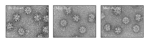 Details are in the caption following the image