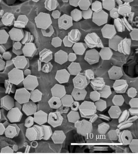 Single-Crystal Hexagonal Disks and Rings of ZnO: Low-Temperature, Large-Scale Synthesis and Growth Mechanism