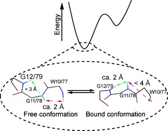 Sampling of Glycan-Bound Conformers by the Anti-HIV Lectin Oscillatoria agardhii agglutinin in the Absence of Sugar