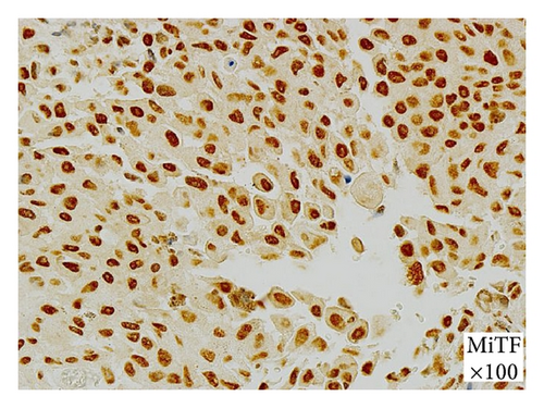 Details are in the caption following the image Details are in the caption following the image