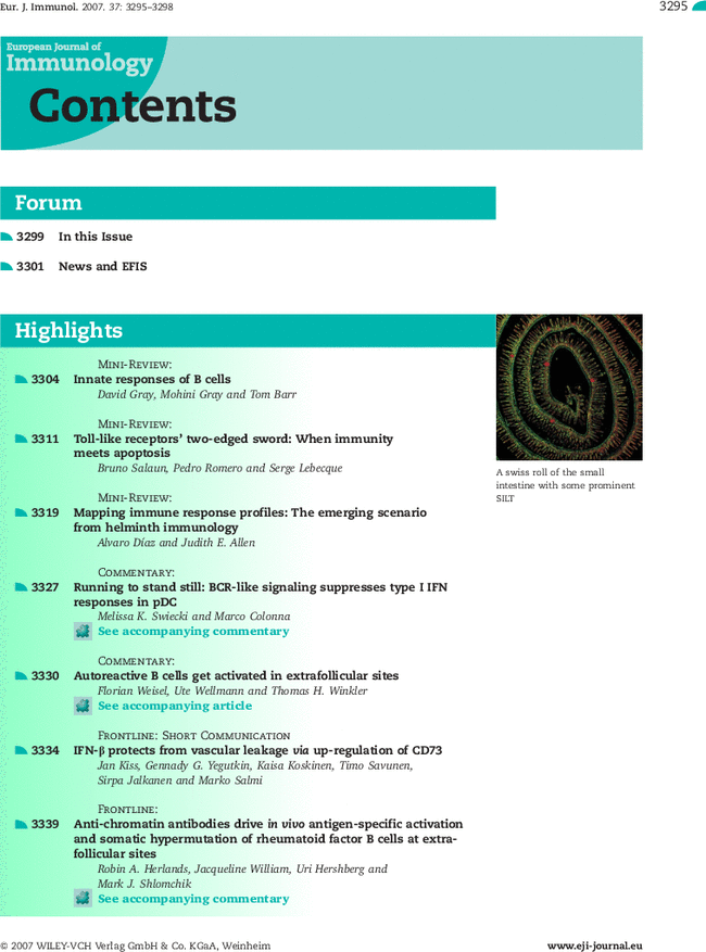 First page image