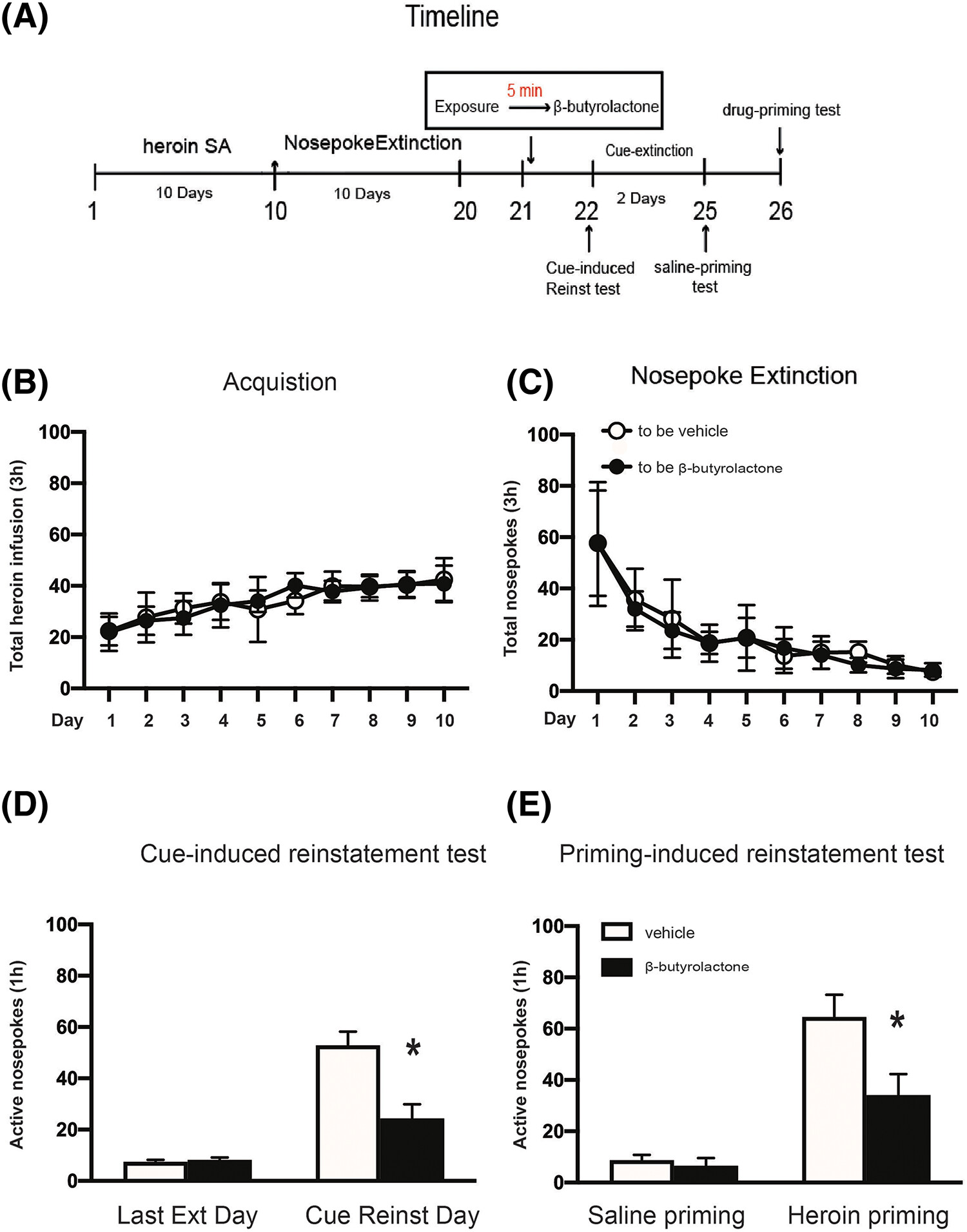 The Cdk5 inhibitor β-butyrolactone impairs reconsolidation of heroin-associated memory in the rat basolateral amygdala