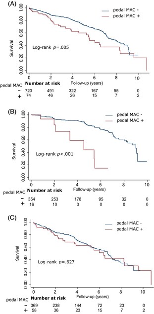 Pedal medial arterial calcification in diabetic foot ulcers: A significant risk factor of amputation and mortality